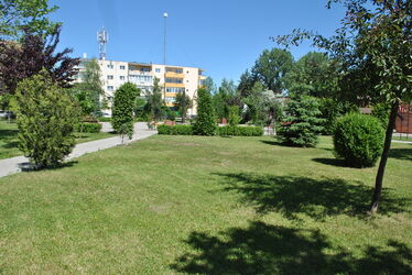 Wass Albert nevét viselné a park. A szerző felvétele