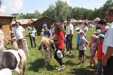 Nagy sikerük volt a gyermekek körében a pónilovaknak