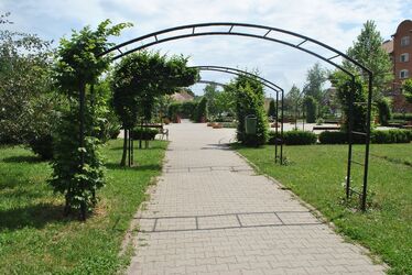 Egyelőre várni kell, míg Wass Albert nevét viselheti a park. A szerző felvétele