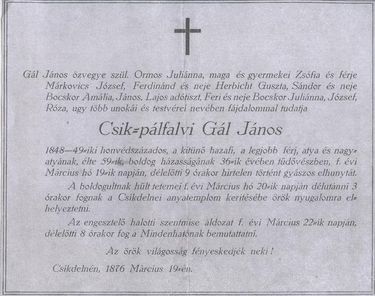 Ferenczes István: Veszedelmekről álmodom (Gál János honvédszázados  emlékcirkálásai - 16.)