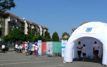 Labirintus a Bodok Szálloda előtt. A szerző felvétele
