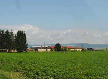 A szerző felvétele