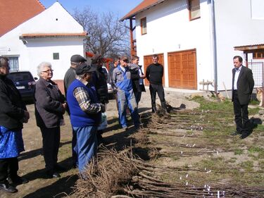 Fleckhamer Ottó HKA-elnök beszélt a gyümölcsfaprogramról. A szerző felvétele