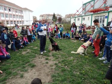A szerző felvétele