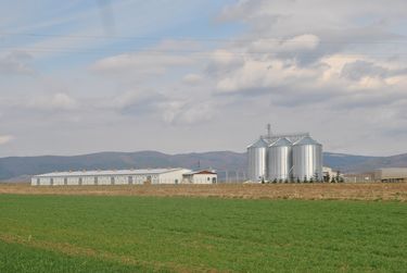 A Toro cég sertéshizlaldája. A szerző felvétele