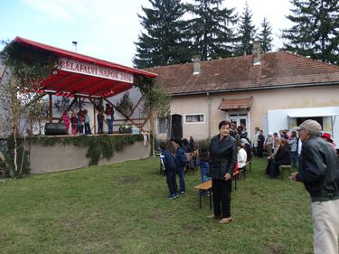 A szerző felvétele