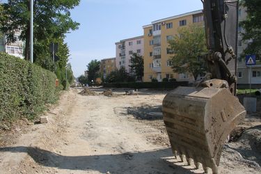 Markoló a Gyöngyvirág utcában. Albert Levente felvételei