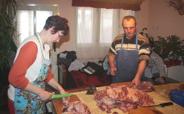 A szerző felvétele