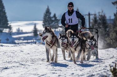 Fotó: Facebook/Tasuleasa Social