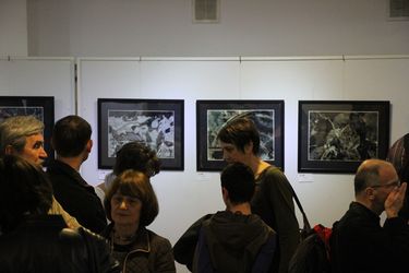 Kiállítás a Köntés Pincegalériában. Fotó: Albert Levente