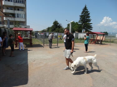 Kézdivásárhelyen már elkészült a kutyafuttató. Iochom István felvétele