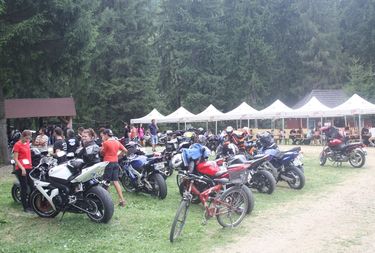 Motorrengeteg a fenyők között. A szerző felvétele