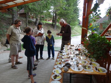 Rimóczi Imre gombaismertetőt tart. A szerző felvétele