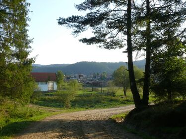 Hamarosan Kommandó környékén is felújítják a turistajelzéseket. Szekeres Attila felvételei
