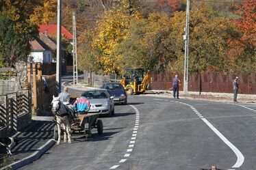 A zalániak öröme