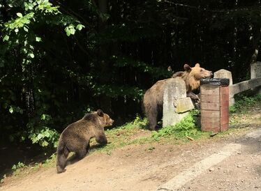 Fotó: Málnási Bence