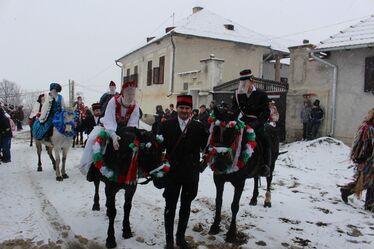 A szerző felvételei