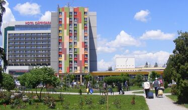 A rendezett fürdőváros képéhez nem illeszkednek a kóbor kutyák. A szerző felvétele