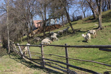 A szerző felvétele