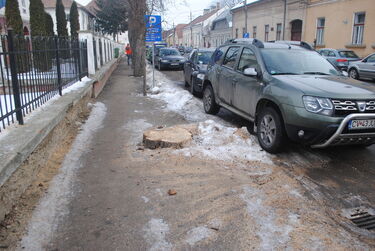 A szerző felvétele