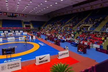 Fotó: Facebook  / Federatia Romana de Lupte