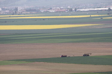 Albert Levente felvétele