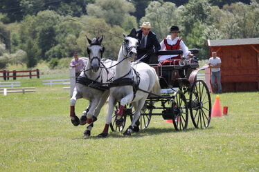 Bartha Eduárd szeptemberben indulhat a németországi világbajnokságon. Fotók: Miska Brigitta