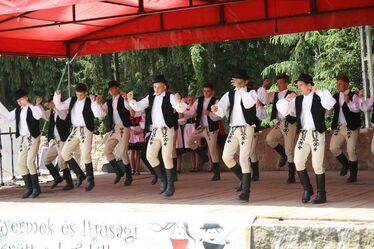 Hamuvirág Néptáncegyüttes. A szerző felvétele