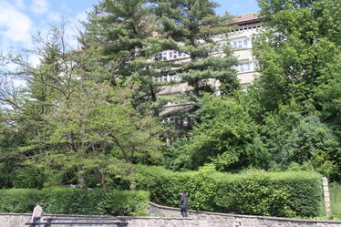 Albert Levente felvétele