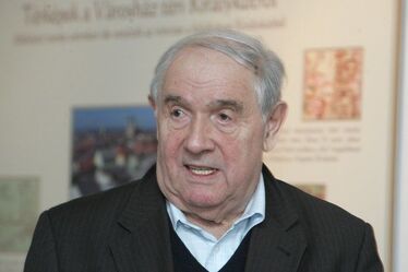 Tamás Menyhért : Vigyázó madár (részlet)