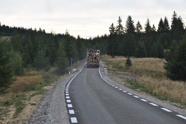 A szerző felvétele