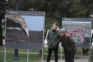 Albert Levente felvétele