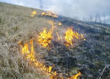 Fotó: brasovultau.ro