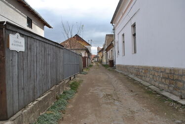 A szerző felvétele