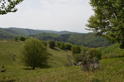 A szerző felvétele