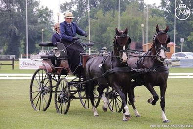 Fotó: Vida-Szűcs István