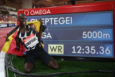 Fotó: Matthias Hangst / Getty Images