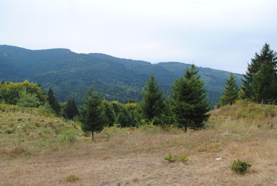 A szerző felvétele