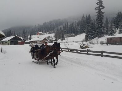 Lovas szánnal Kommandón. A szerző felvétele