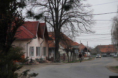 Albert Levente felvétele
