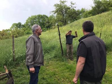 Itt ugrott át a medve, mutatja a szenátornak az egyik károsult. Fotó: Facebook / Fejér László Ödön