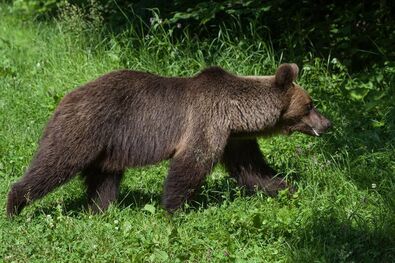 Fotó: Schlett Olivér
