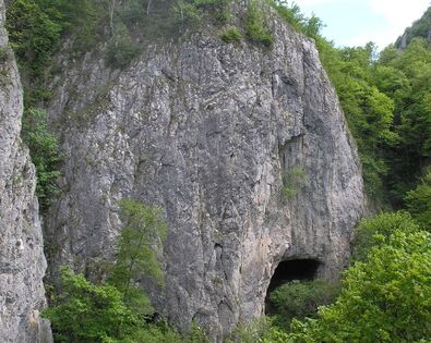 A Vargyas-szurdok barlangvilága