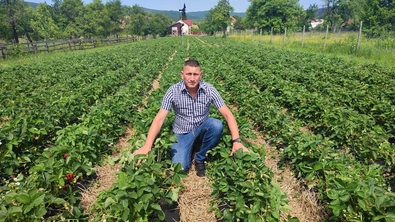 Ștefan Norbert hűtőkamra beszerzésén is gondolkodik. A szerző felvétele