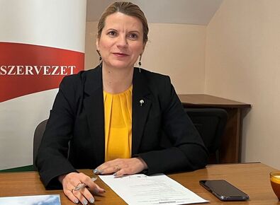 Sándor Krisztina szerint az üzleti szféra nyitottabb a kétnyelvűség betartására. A szerző felvétele