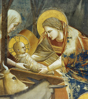 Giotto: Jézus születése (1304)