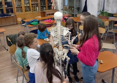 A csontokat tanulmányozzák a diákok