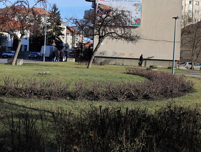 A tervezett Petőfi-szobor helye. Albert Levente felvétele