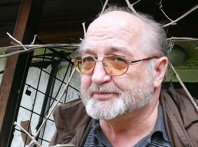 Kádár  Gyula:  A magyar forradalom Erdélyben