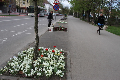 Virágépítők. Fotó: Albert Levente